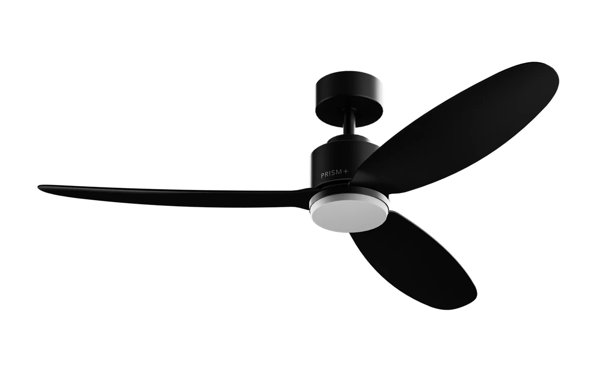 Curved Blade - Image 4