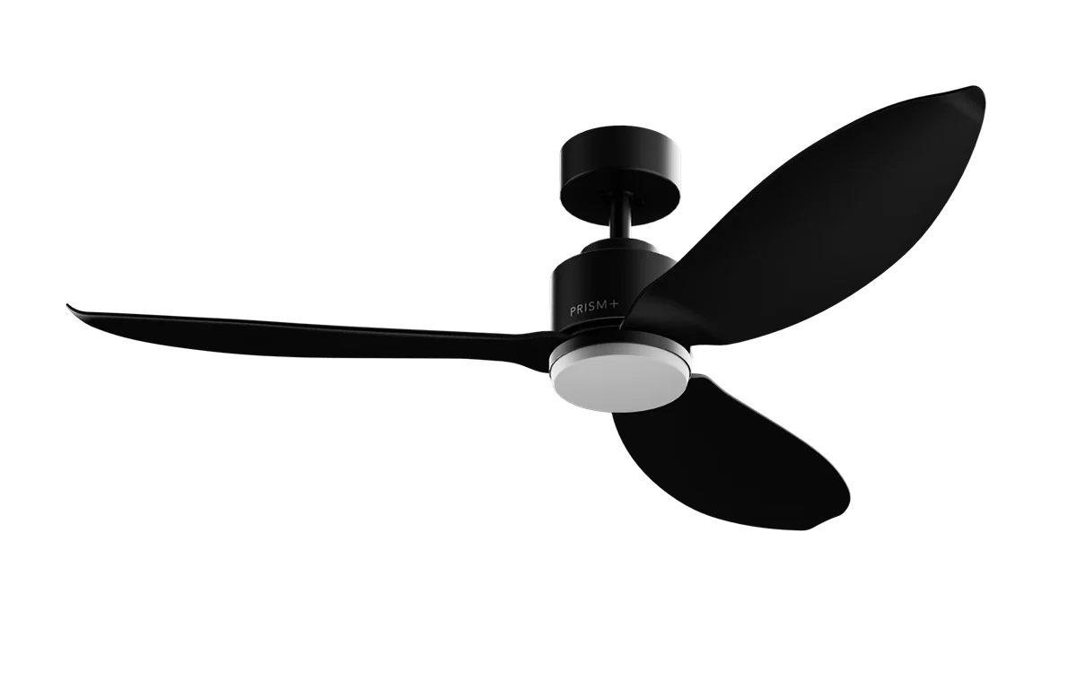 Leaf Blade - Image 4