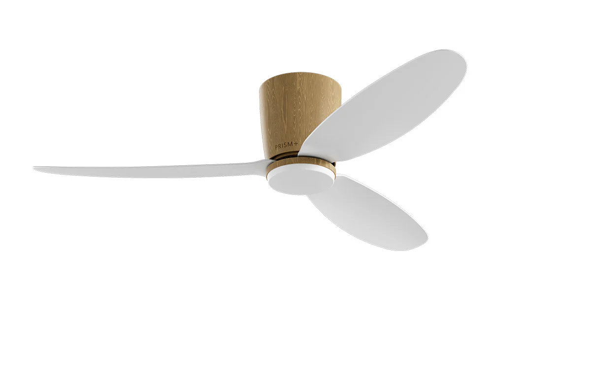 PRISM+ Oasis Pro Curve - 3 Blades - Hugger Smart NCCT - Image 15