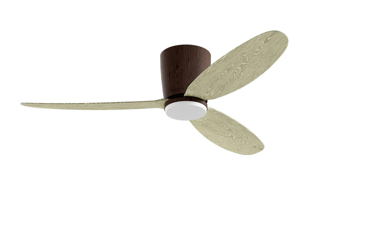 PRISM+ Oasis Pro Curve - 3 Blades - Hugger Smart NCCT - Image 17