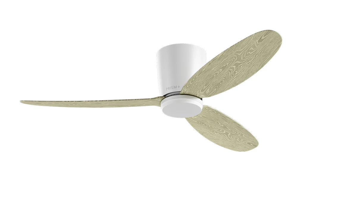 PRISM+ Oasis Pro Curve - 3 Blades - Hugger Smart NCCT - Image 5