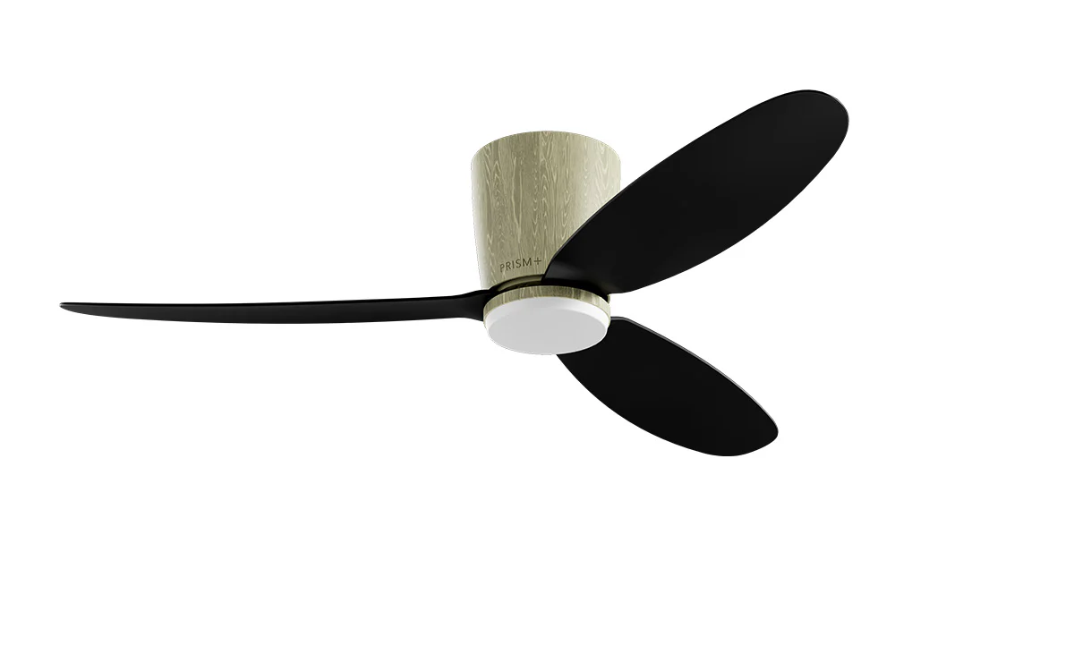 PRISM+ Oasis Pro Curve - 3 Blades - Hugger Smart NCCT - Image 27