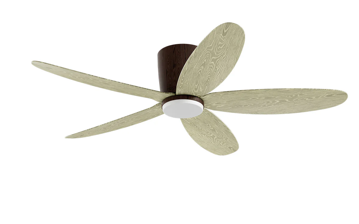 PRISM+ Oasis Pro Curve - 5 Blades - Hugger Smart NCCT - Image 10
