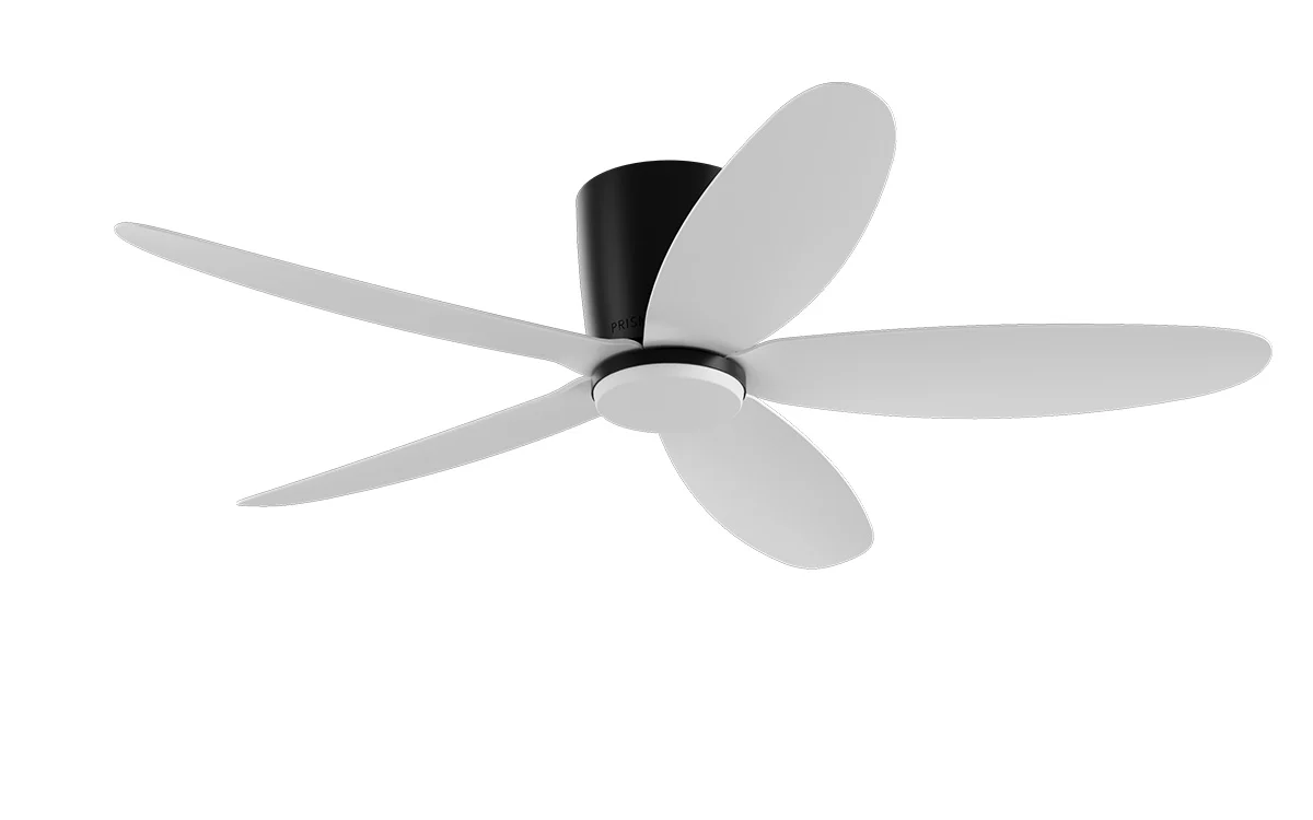PRISM+ Oasis Pro Curve - 5 Blades - Hugger Smart NCCT - Image 14