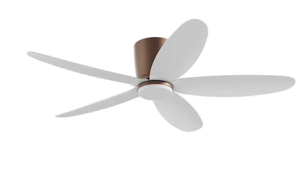 PRISM+ Oasis Pro Curve - 5 Blades - Hugger Smart NCCT - Image 18