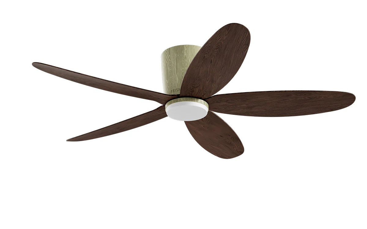 PRISM+ Oasis Pro Curve - 5 Blades - Hugger Smart NCCT - Image 26