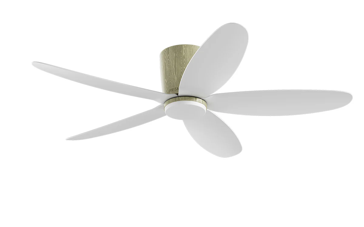 PRISM+ Oasis Pro Curve - 5 Blades - Hugger Smart NCCT - Image 29