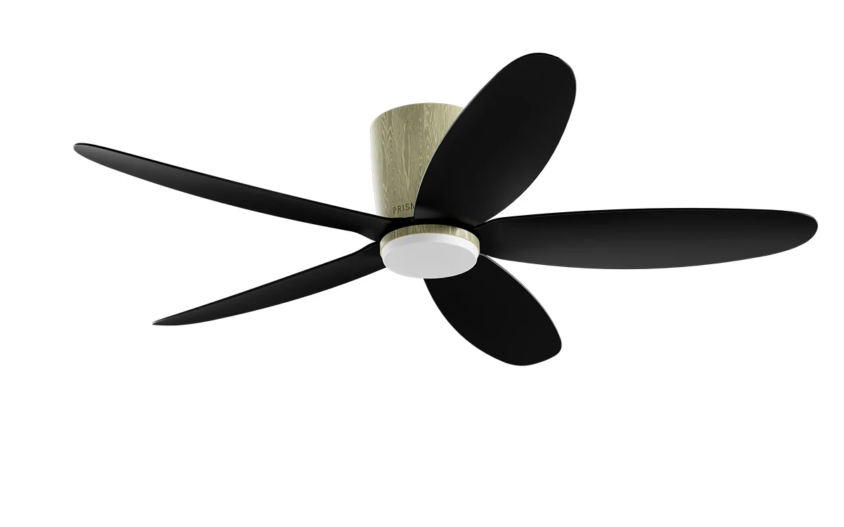 PRISM+ Oasis Pro Curve - 5 Blades - Hugger Smart NCCT - Image 30