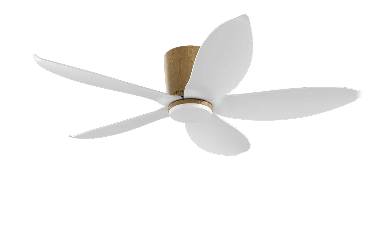 PRISM+ Oasis Pro Leaf - 5 Blades - Hugger Smart NCCT - Image 4