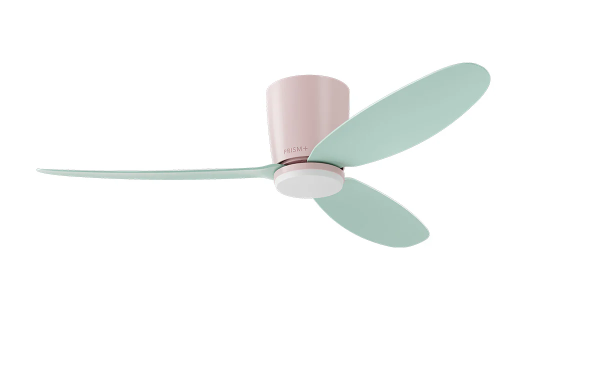 PRISM+ Oasis Pro Macaron Curve - 3 Blades - Hugger Standard NRGB