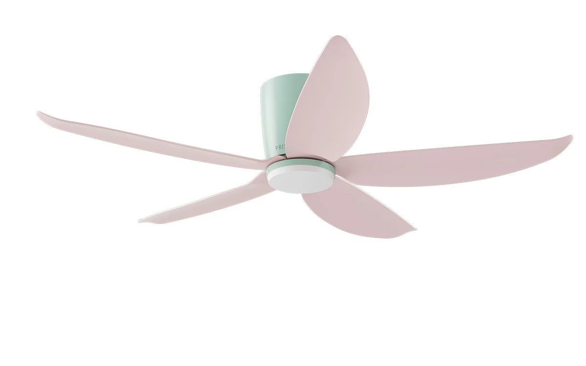 PRISM+ Oasis Pro Macaron Wing Tip - 5 Blades - Hugger Standard NRGB - Image 5