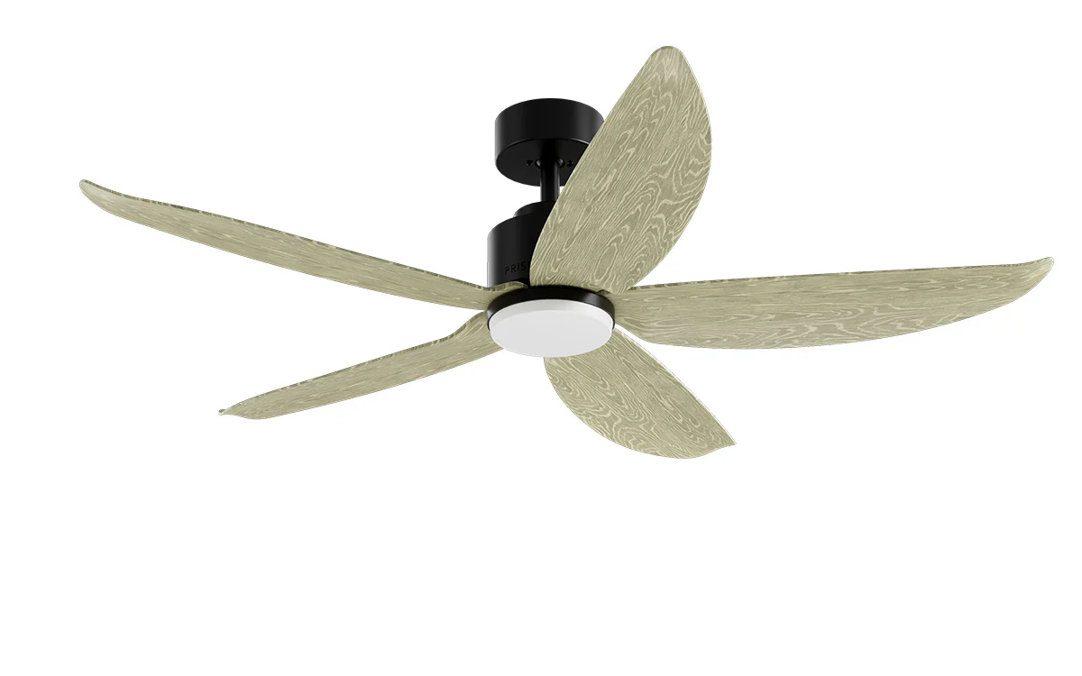 PRISM+ Oasis Pro Wing Tip - 5 Blades - Downrod Smart NCCT - Image 13