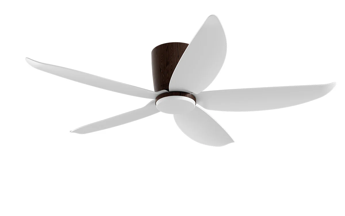 PRISM+ Oasis Pro Wing Tip - 5 Blades - Hugger Smart NCCT - Image 9